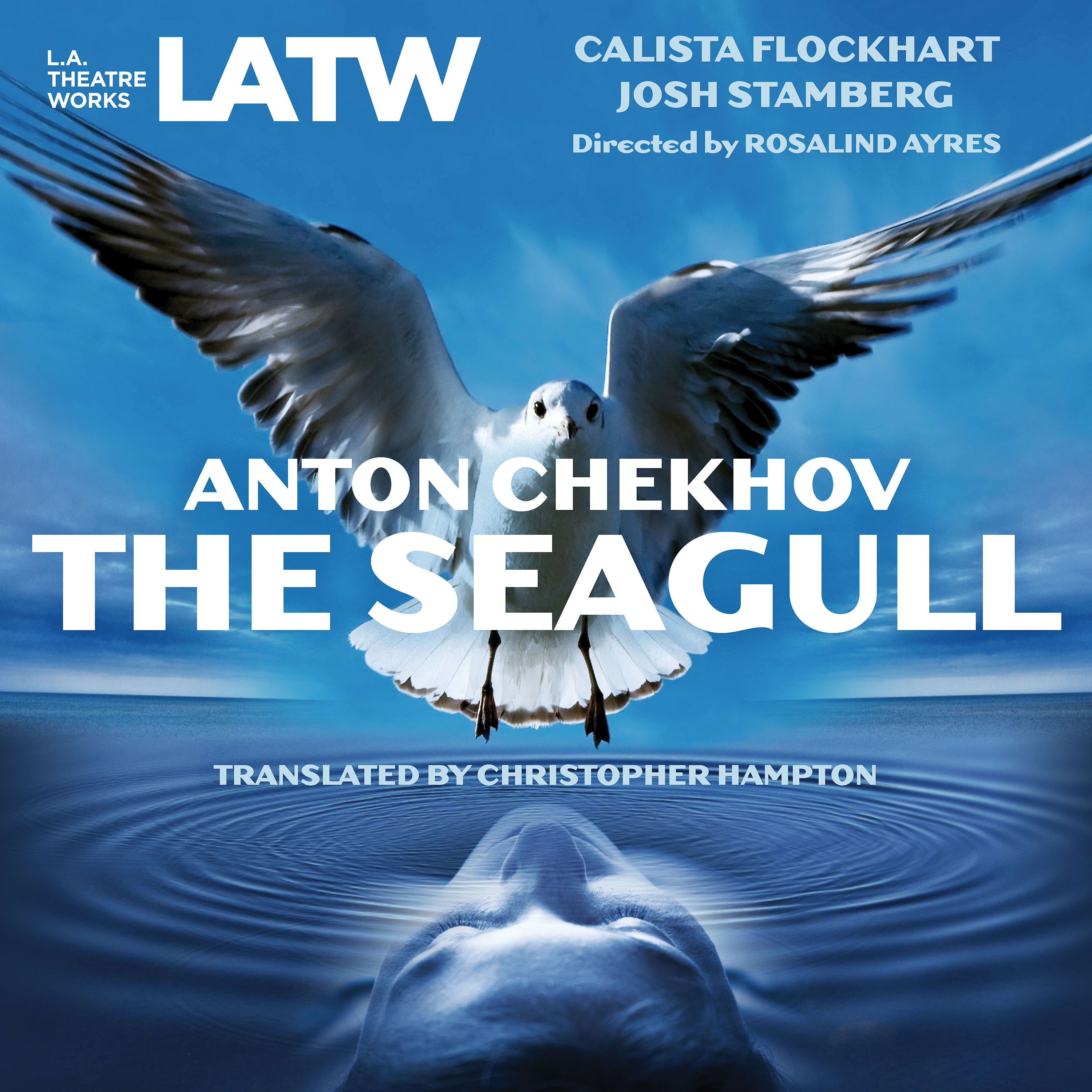 the seagull anton chekhov