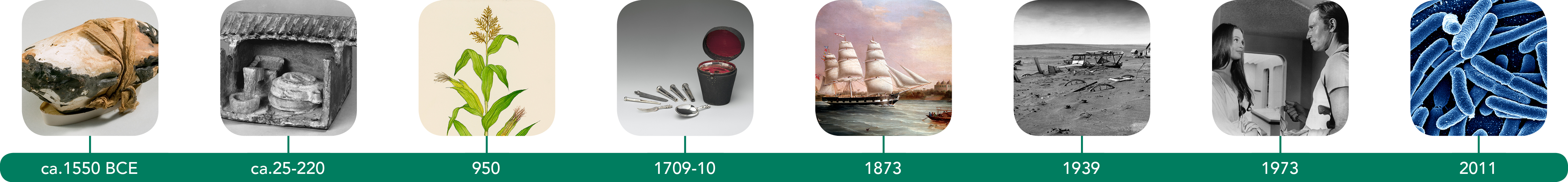 Timeline of Food History