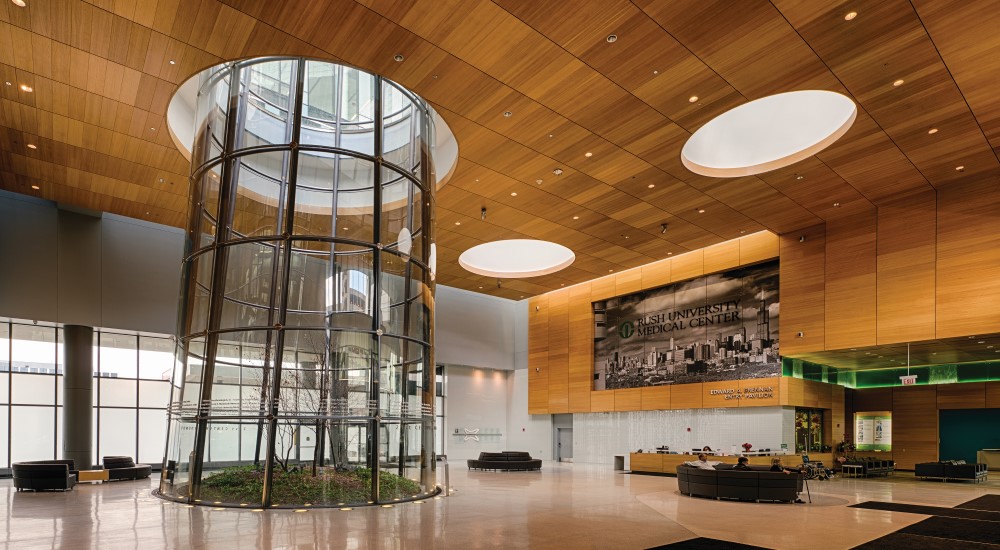 Terrarium in the lobby of the Rush University Medical Center