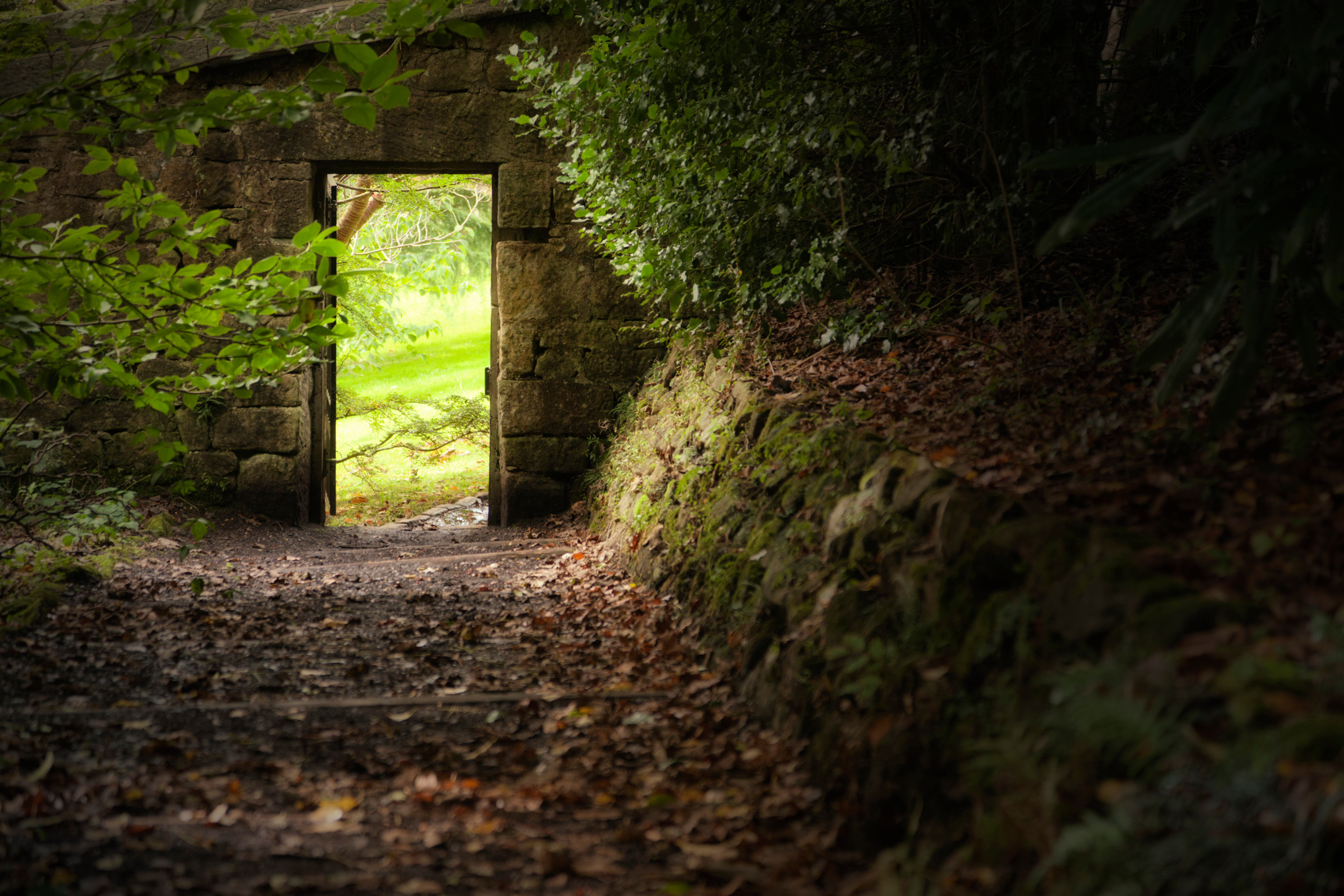 A dark path leading to the gate of a bright walled garden