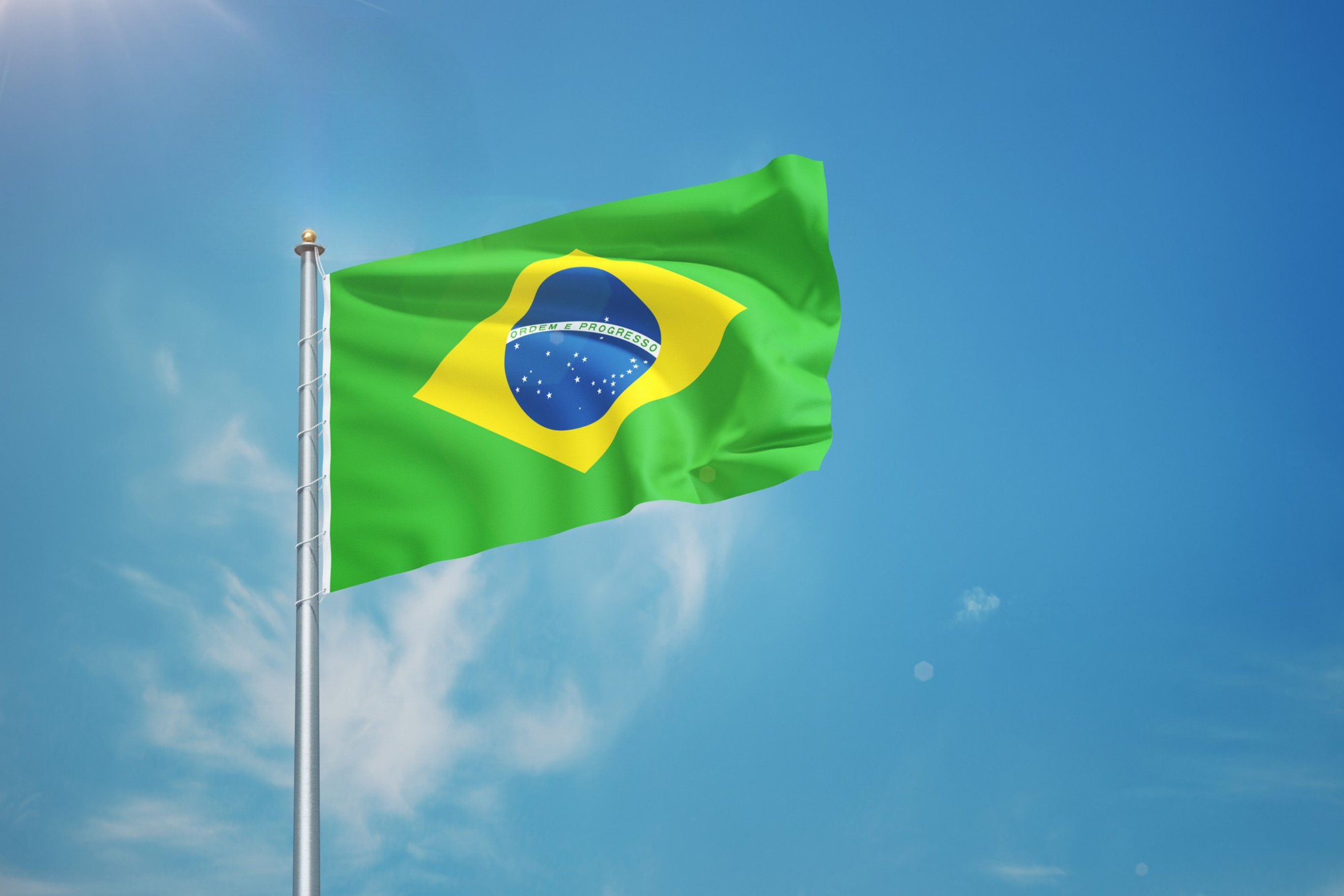 Brazilian flag Brazilian flag