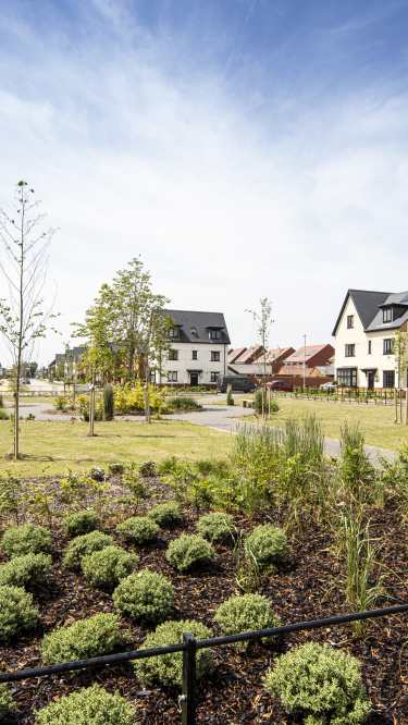 A manicured garden bed in the foreground leads to a grassy common area with young trees, all set against a backdrop of modern houses under a bright, cloudy sky.
