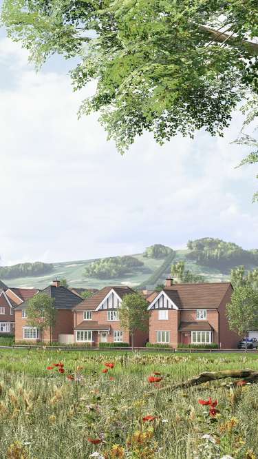 A cluster of red-brick houses with white-trimmed windows sits nestled amongst green trees and rolling hills, with a field of wildflowers and a fallen branch in the foreground.