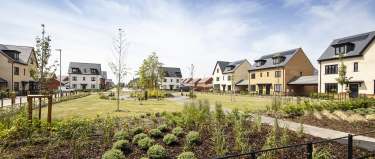 A landscaped park with young trees and shrubs in the foreground is bordered by modern houses with dark roofs in the background.