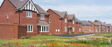 A row of new brick houses with white trim stands behind a field of colorful wildflowers under a bright blue sky.