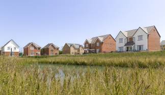 Tall grasses and a calm body of water fill the foreground, while a row of modern, multi-story houses with brick and white facades stretches across the background under a clear blue sky.