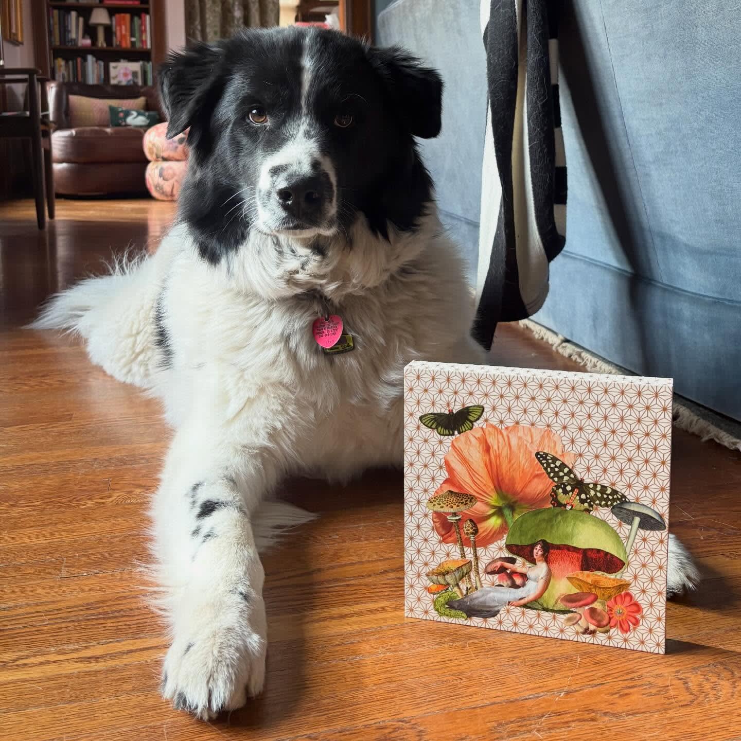 The finished collage propped upright on a hardwood floor beside a black-and-white dog lying down, wearing a pink heart-shaped tag
