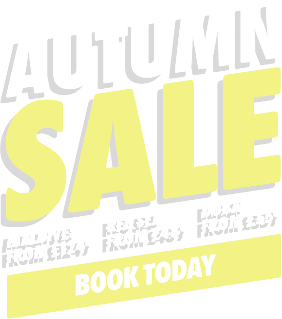 Autumn Sale 2018