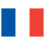 Small France flag icon.