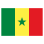 Small Senegal flag icon.