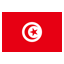 A small Tunisia flag icon.
