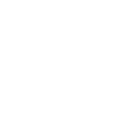 5-Star Dominican Republic logo.