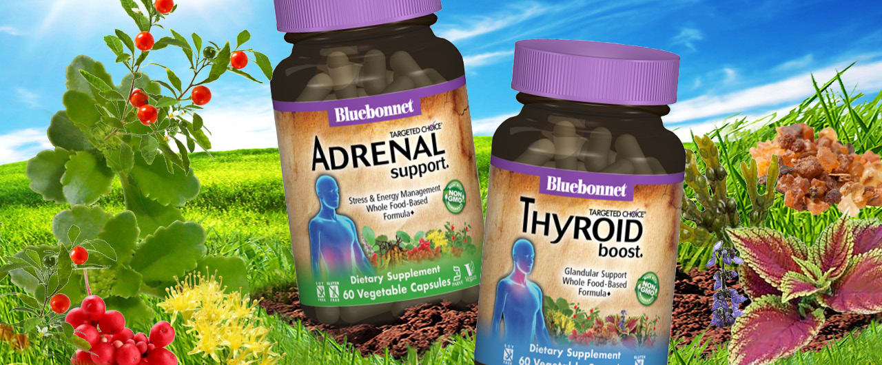 UNDERSTANDING THE THYROID-ADRENAL CONNECTION