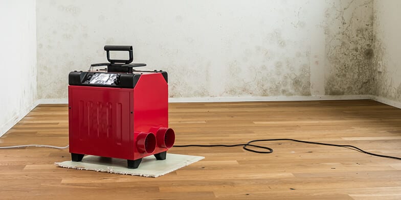 dehumidifier