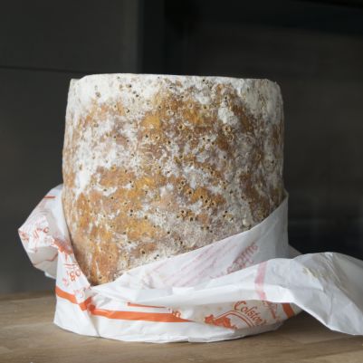 Colston Bassett Shropshire Blue (WA & QLD)