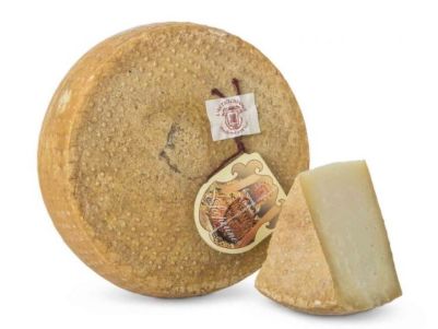 Scoperino Emilia Romagna