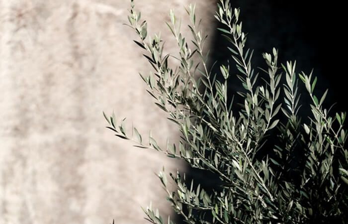 Blue Cow French Style Triple Cream 180g (WA & QLD)