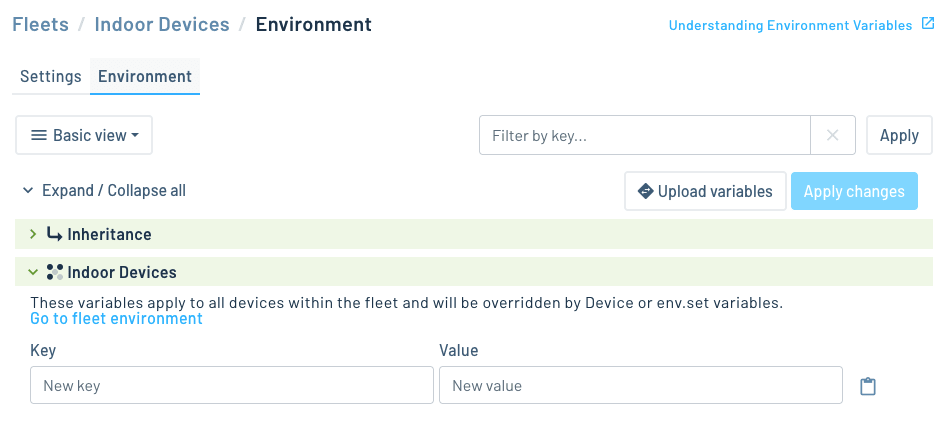 Setting fleet environment variables