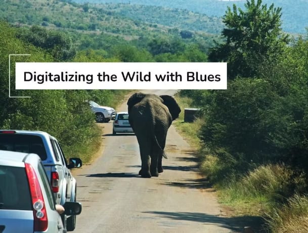 Digitalizing the wild cover image with elephant