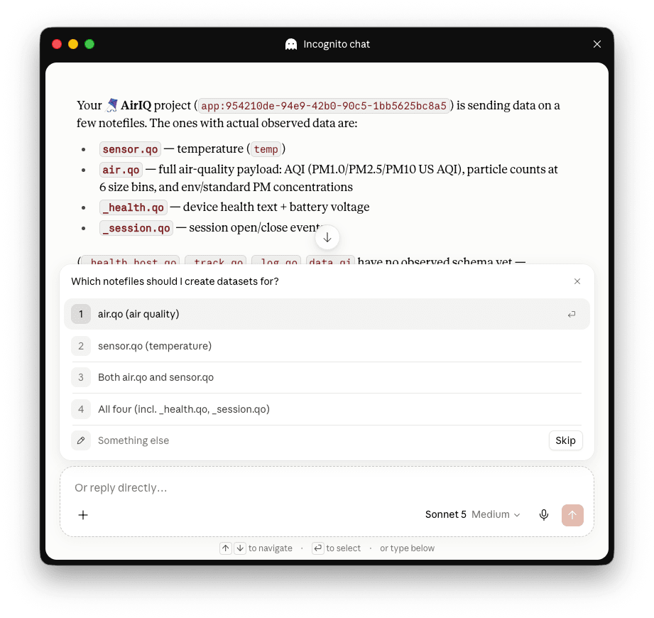 Notehub IQ prompting for datasets