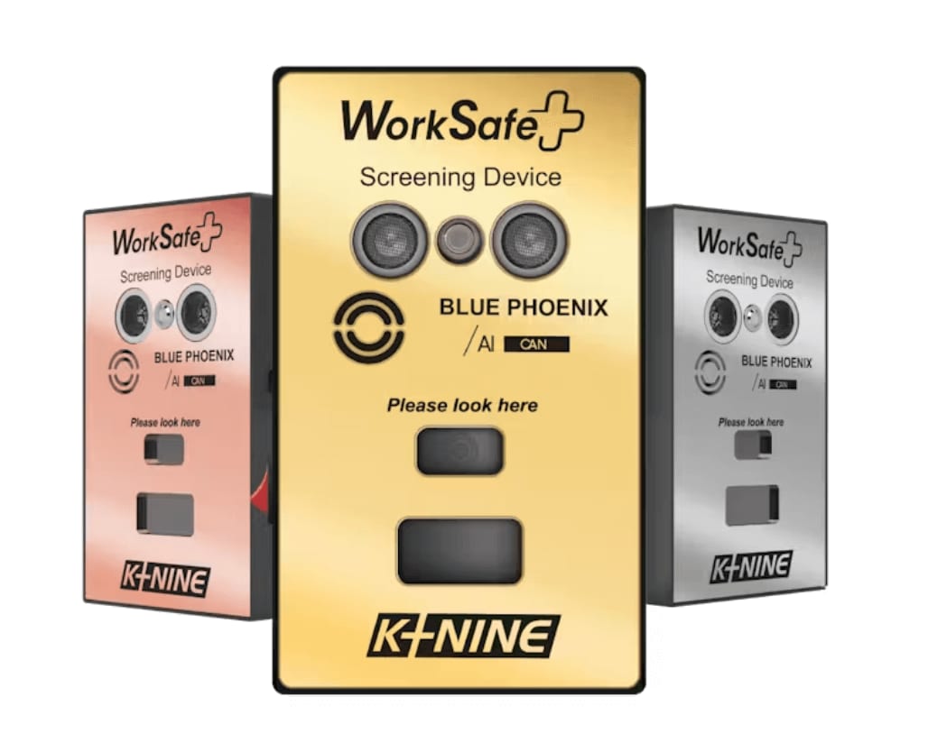 dishant shah worksafe