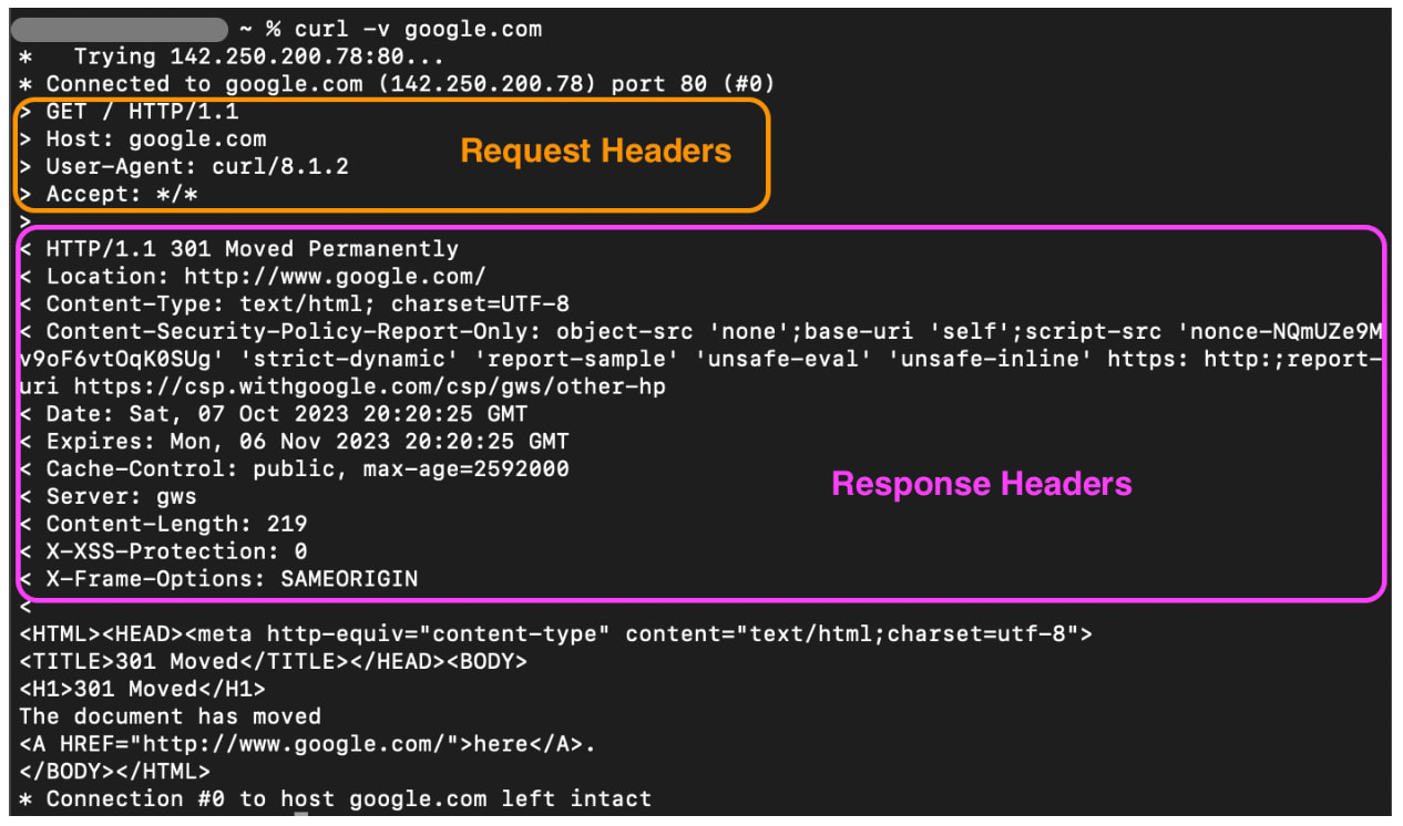 A screenshot of the output of running the cURL curl -v google.com.