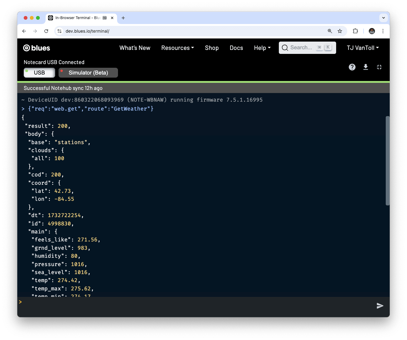 An example response from OpenWeather API in the In-Browser Terminal