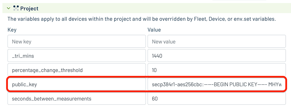 Image of the public key environment variable