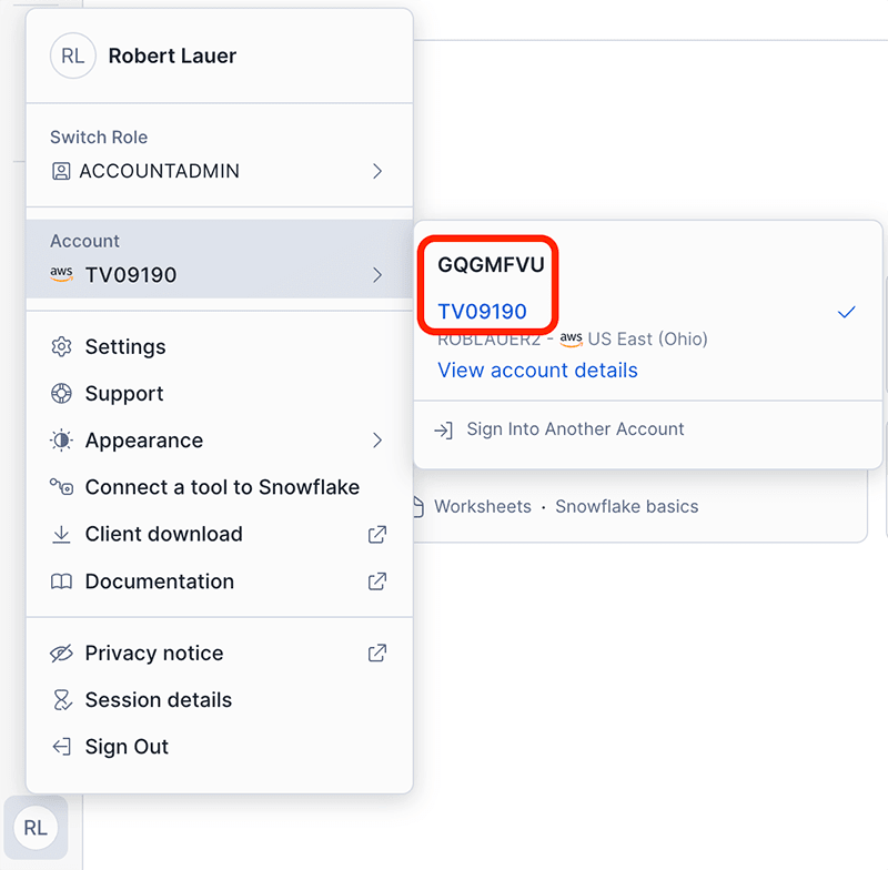 Obtaining your snowflake organization and account ids