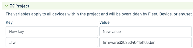 setting the _fw environment variable