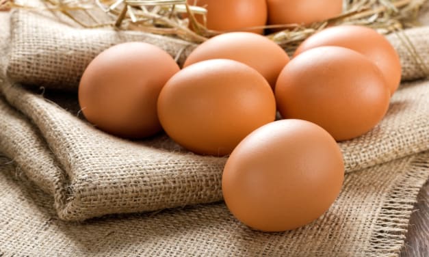 Runny Eggs now OK in pregnancy – Bring on the eggy soldiers!