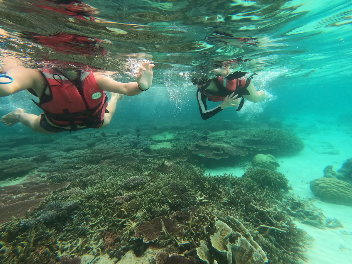 Clear blue Tioman Island water for beginner snorkeling guide near Tekek and Berjaya
