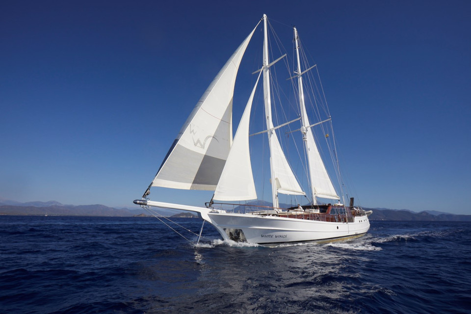 S/Y WHITE WINGS Yacht #2