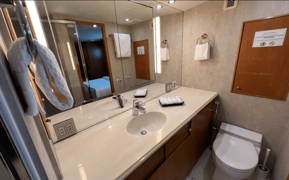 M/Y DAY DREAM IV Yacht #15