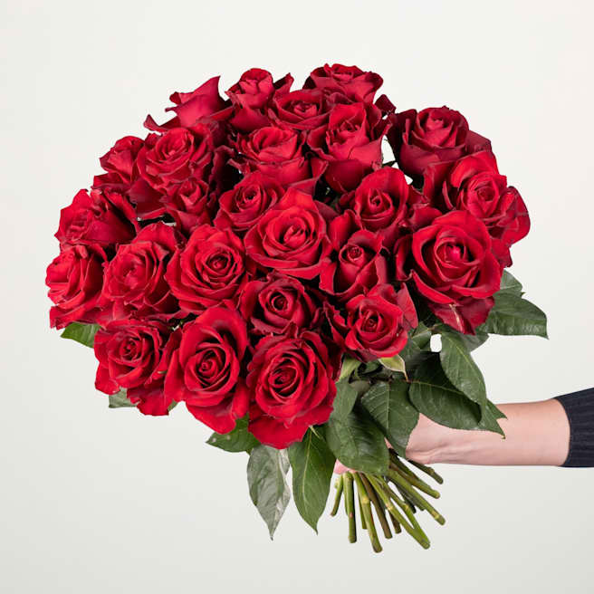 Rote Premium-Rosen - 25 Stiele