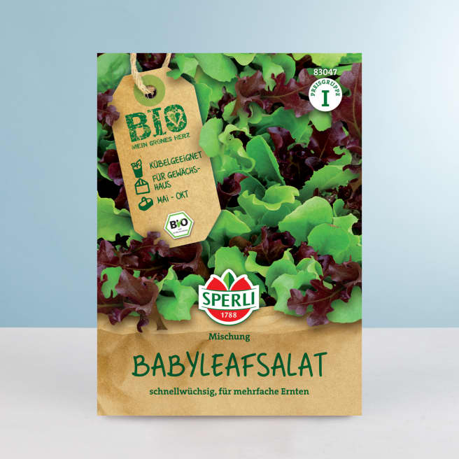 Babyleafsalat 'Mesclun Mischung' Samen BIO