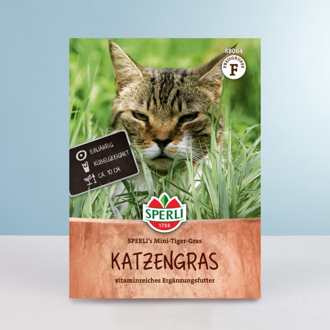 Katzengras 'SPERLI's Mini-Tiger-Gras' Samen