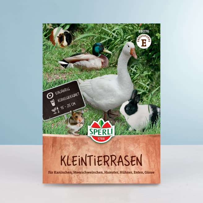 Kleintierrasen Samen