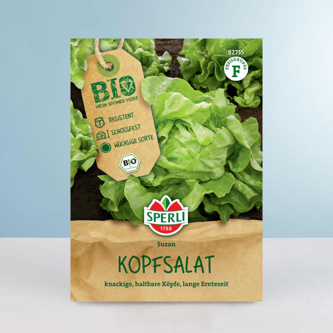 Kopfsalat Samen BIO