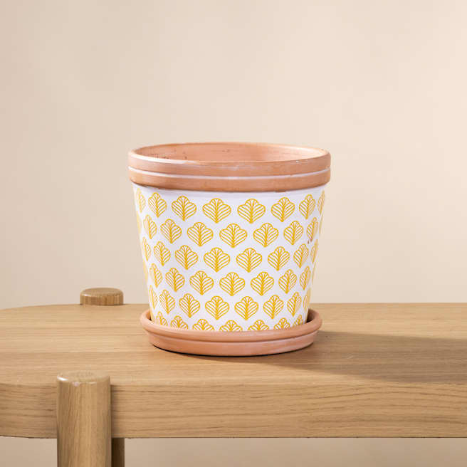 Übertöpfe kaufen Blumentöpfe & Pflanzentöpfe BLUME2000