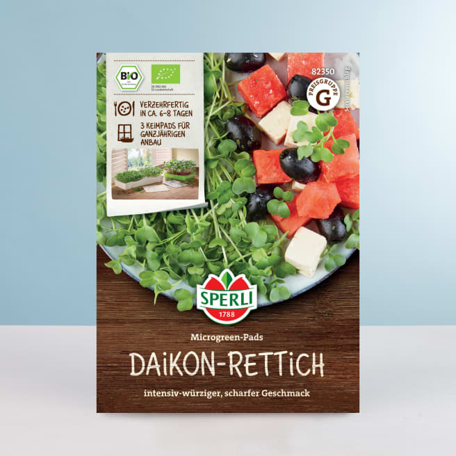 Daikon-Rettich Keimsprossen Saatscheiben BIO