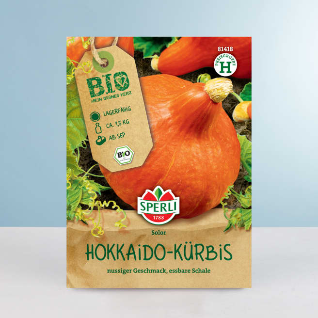 Hokkaido-Kürbis Samen BIO