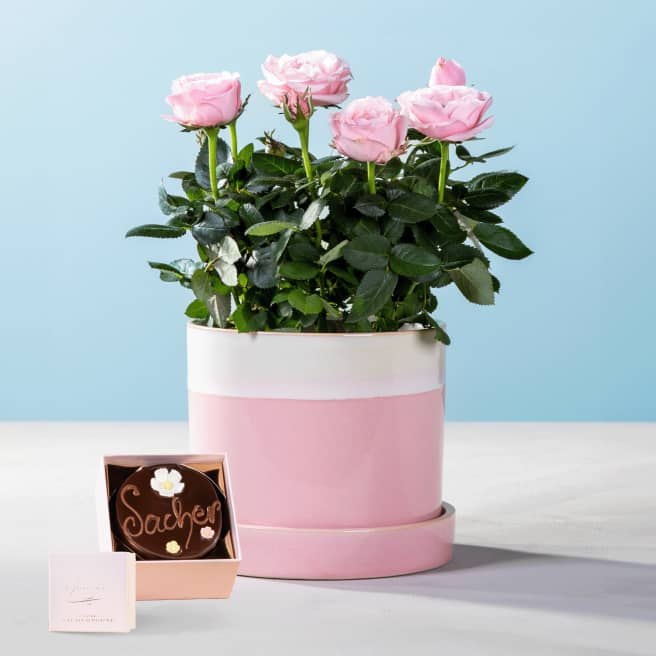 Rosenschatz mit Blumen-Sachertorte 200g