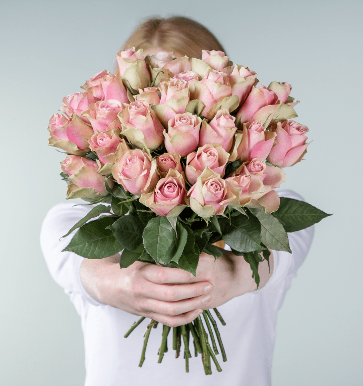 Deal: Rosa Edelrosen 'Belle Rose' - 30 Stiele