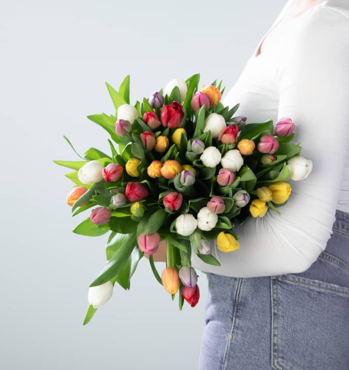 Bunte Tulpen 50 Stiele