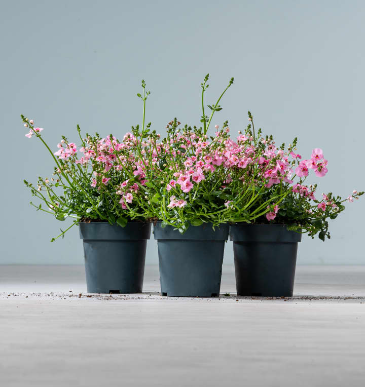 GUOXI Haar-Accessoires-Set (1118 Teile) – Rosa, Für Mädchen, Mit Haarbändern & Gummis