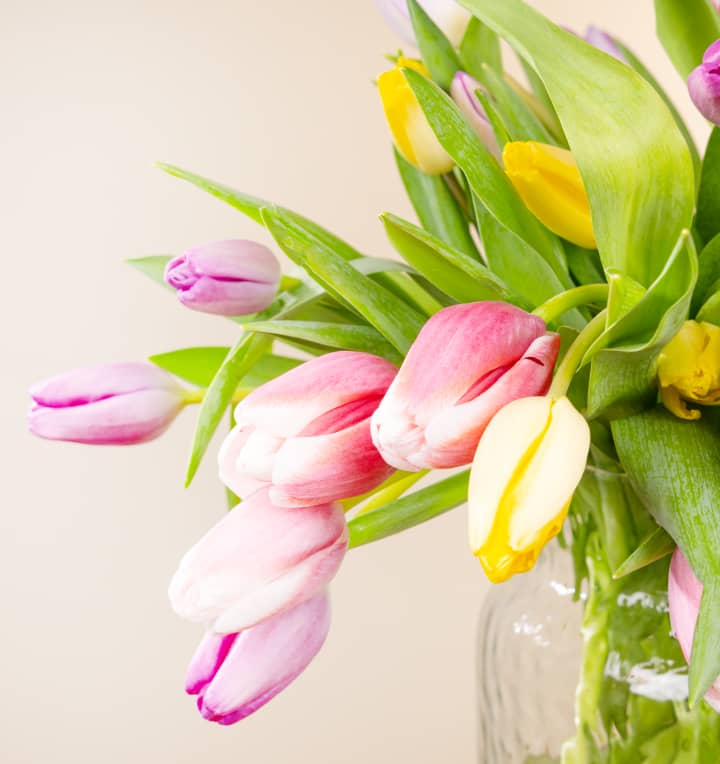 Tulpen Mix 30 Stiele mit Lieblings-Vase M