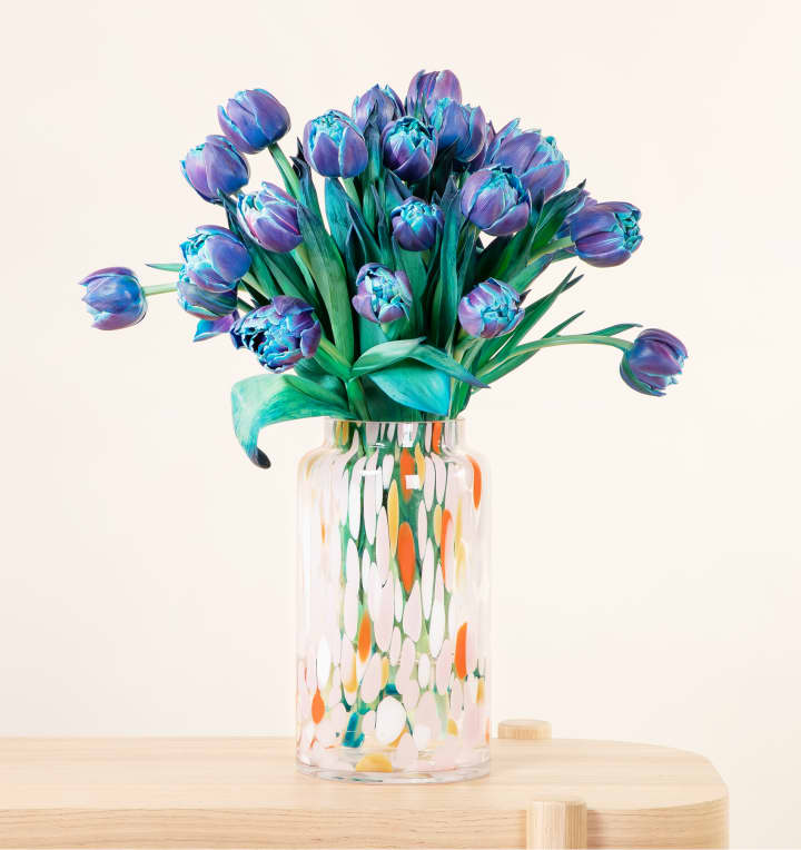 Tulpen Mystic Blue 20 Stiele