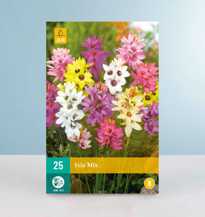 Ixia Mix - 25 Knollen