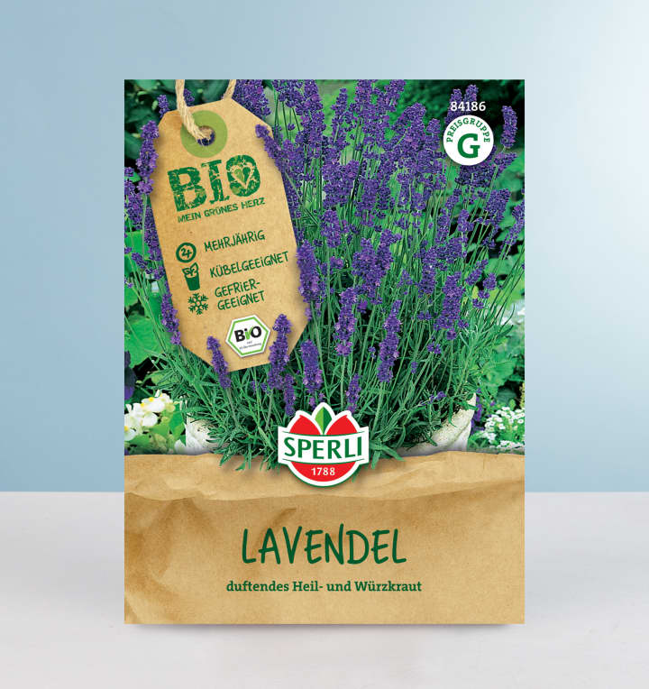 Lavendel Samen BIO